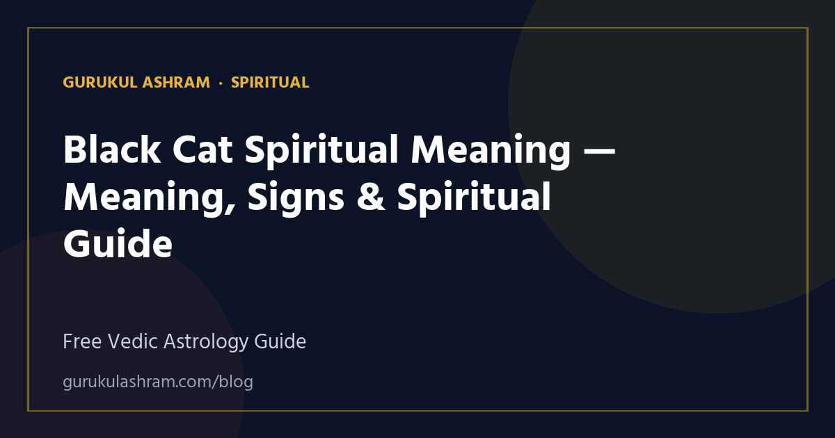 Black Cat Spiritual Meaning — Meaning, Signs & Spiritual Guide — Spiritual guide, Gurukul Ashram