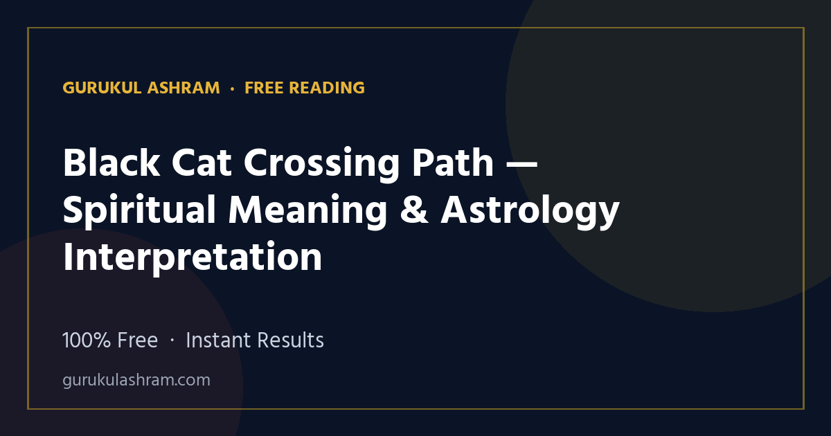 Black Cat Crossing Path — Spiritual Meaning & Astrology Interpretation — Gurukul Ashram